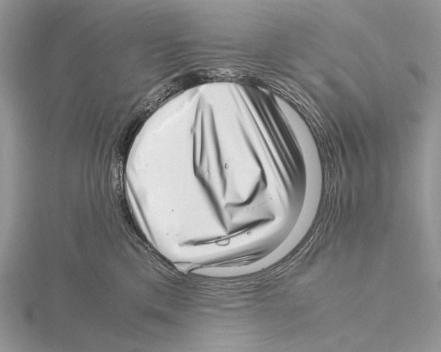 X0000115640425200912081108