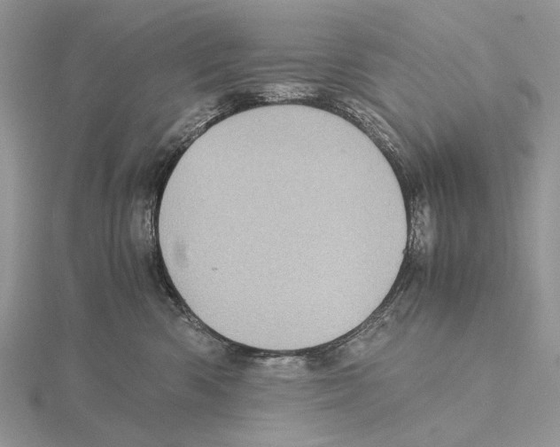 X0000115640426200912081108