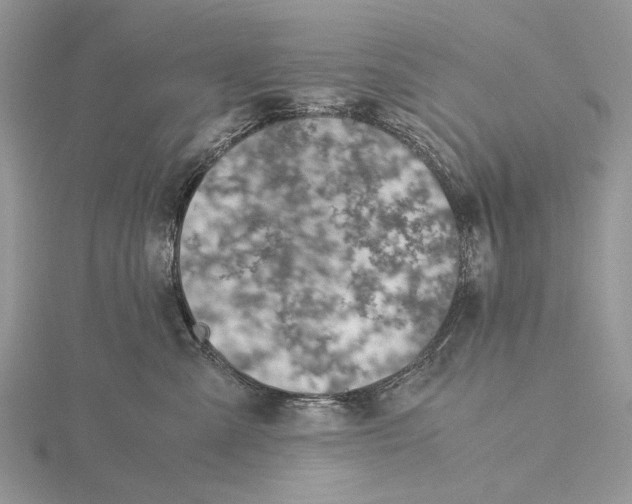 X0000115640427200912081108