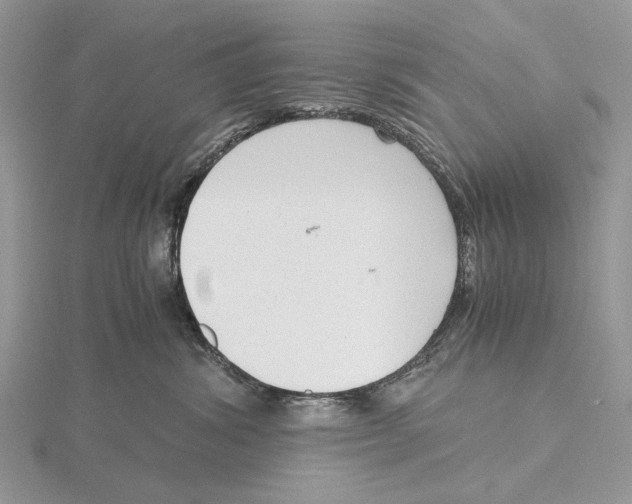 X0000115640428200912081108