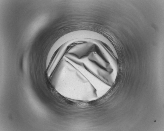 X0000115640429200912081108