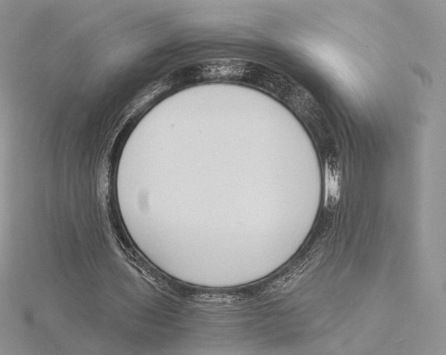 X0000115640435200912081107