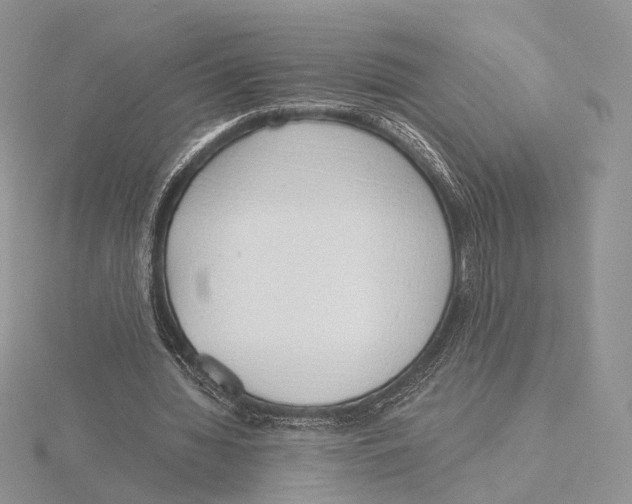 X0000115640436200912081107