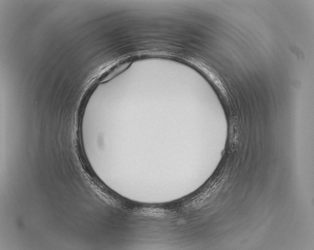 X0000115640437200912081107