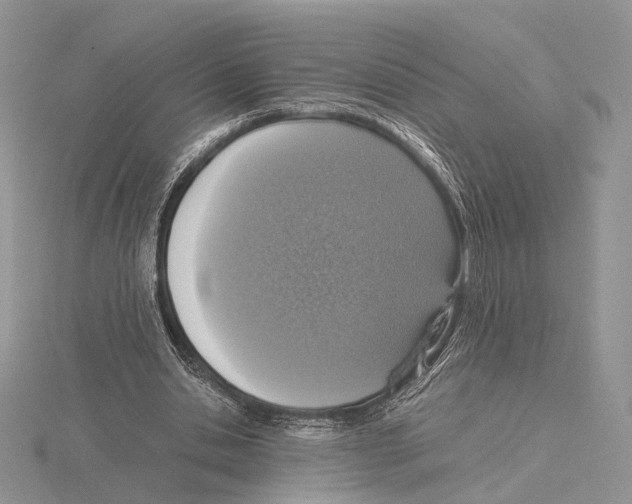 X0000115640438200912081107