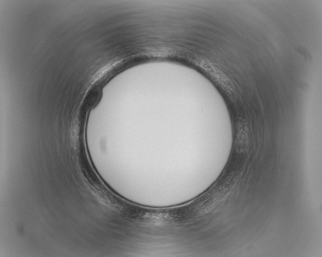 X0000115640440200912081108