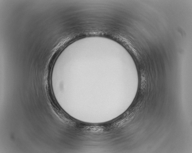 X0000115640443200912081108