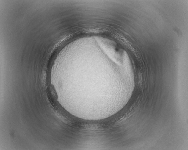 X0000115640444200912081108