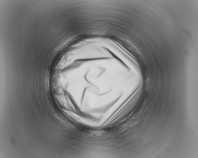 X0000115640446200912081108