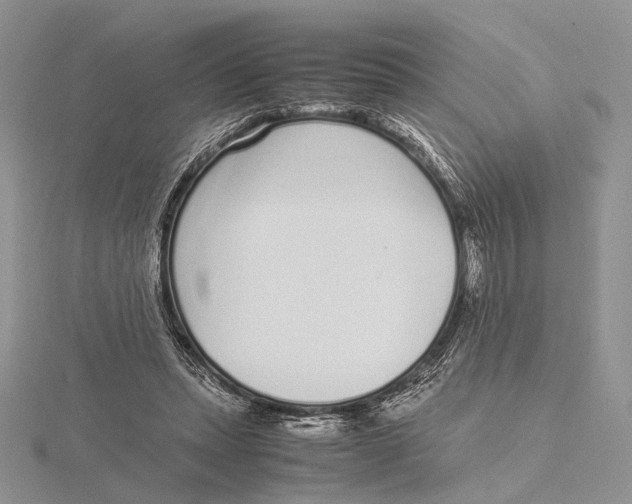 X0000115640447200912081108
