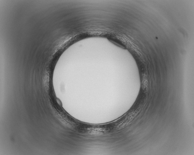 X0000115640448200912081108