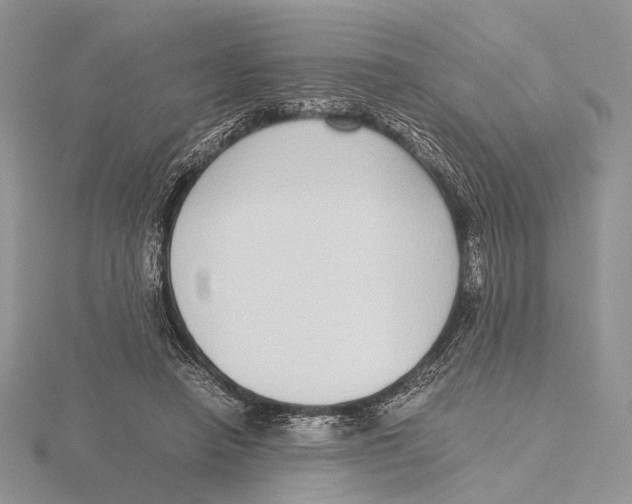 X0000115640450200912081108
