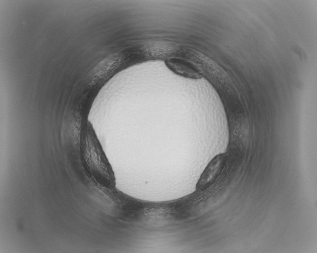 X0000115640452200912081108