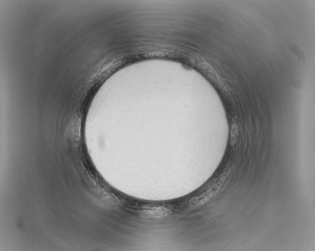 X0000115640454200912081108
