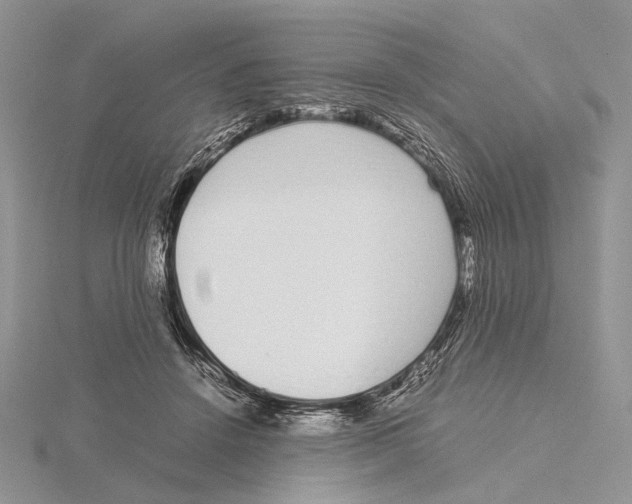 X0000115640456200912081108