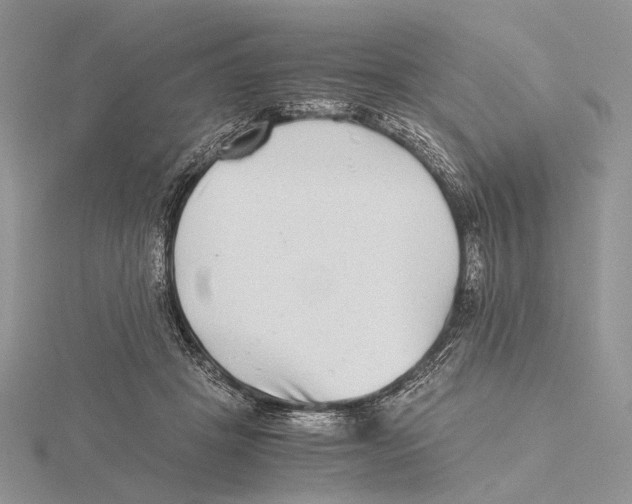 X0000115640457200912081108