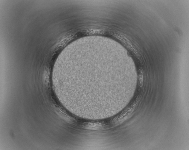 X0000115640458200912081108