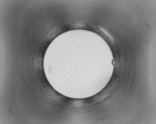 X0000115640462200912081108