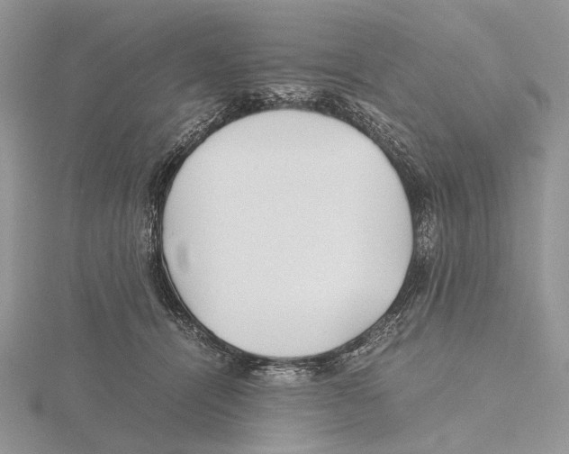 X0000115640464200912081108