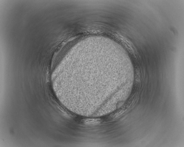 X0000115640465200912081108