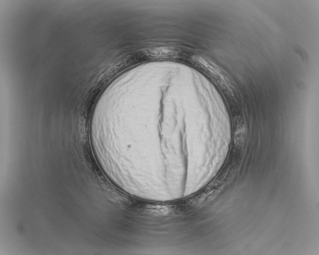 X0000115640469200912081108