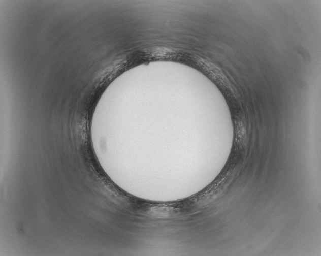 X0000115640470200912081108