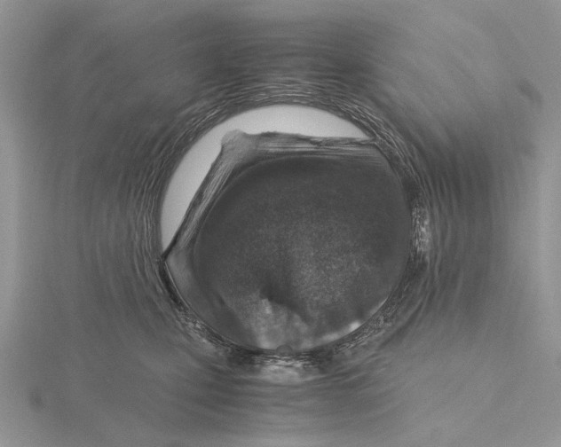 X0000115640471200912081108