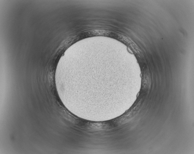 X0000115640473200912081108