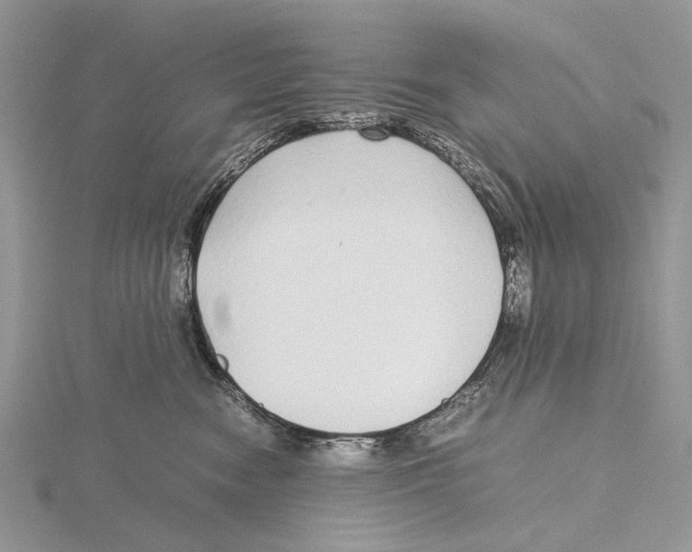 X0000115640474200912081108