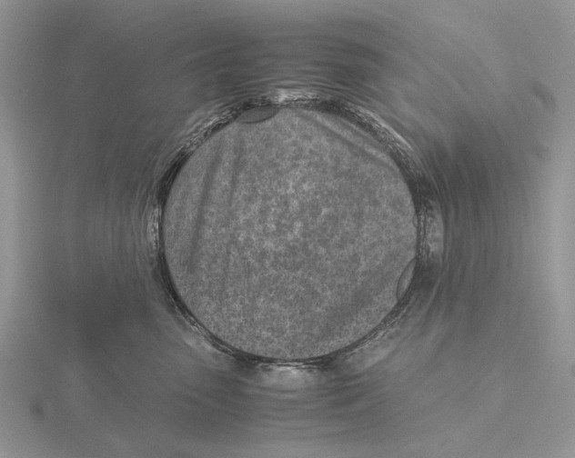 X0000115640475200912081108