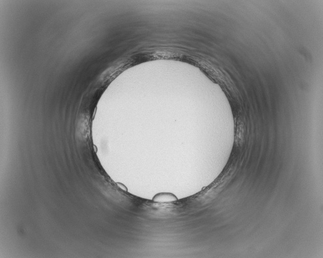 X0000115640478200912081108