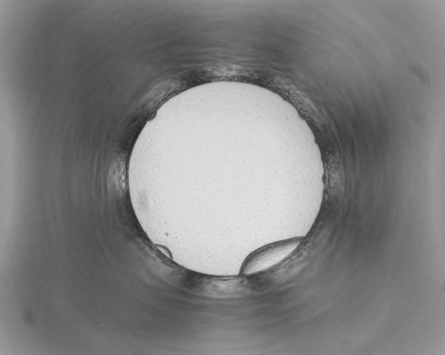X0000115640479200912081108