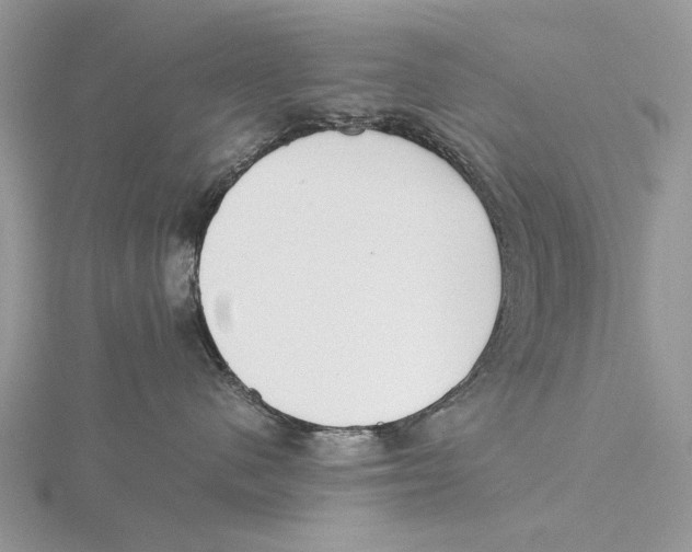 X0000115640480200912081108