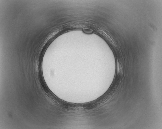 X0000115640483200912081107