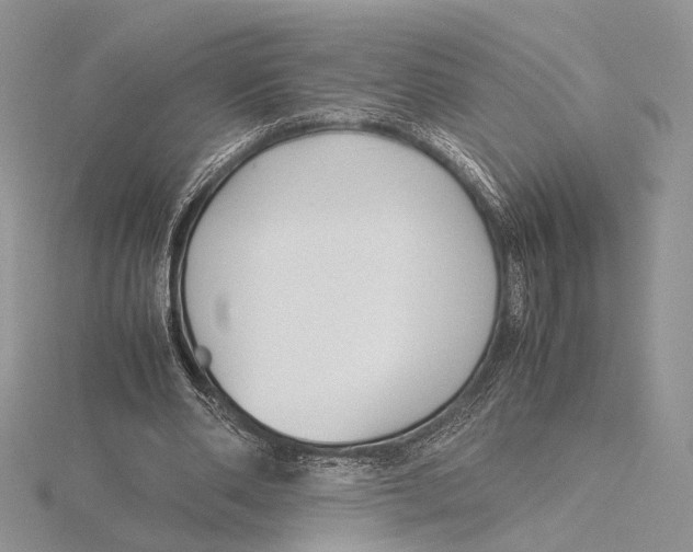 X0000115640486200912081107