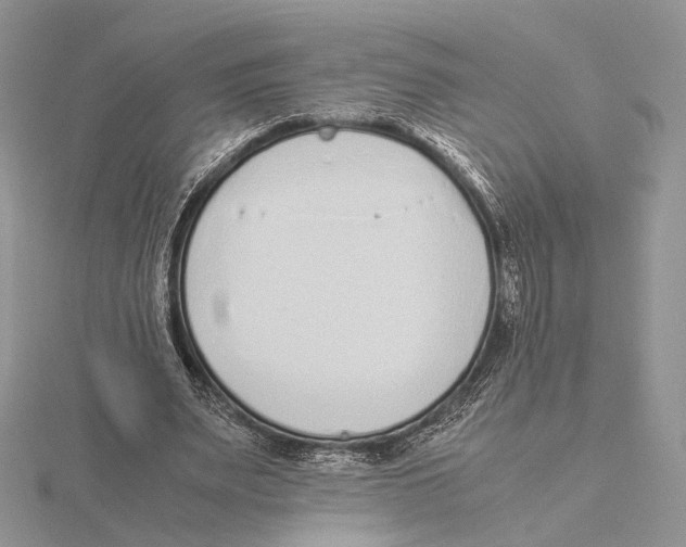 X0000115640487200912081107