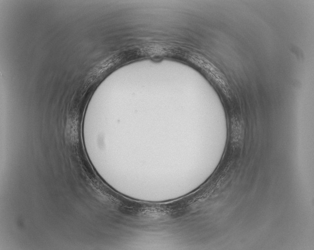 X0000115640489200912081107