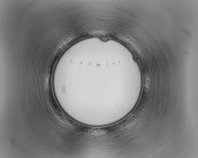 X0000115640491200912081107