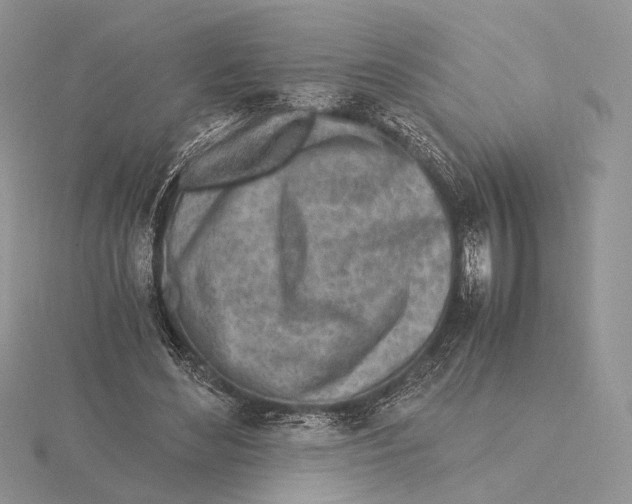 X0000115640492200912081107
