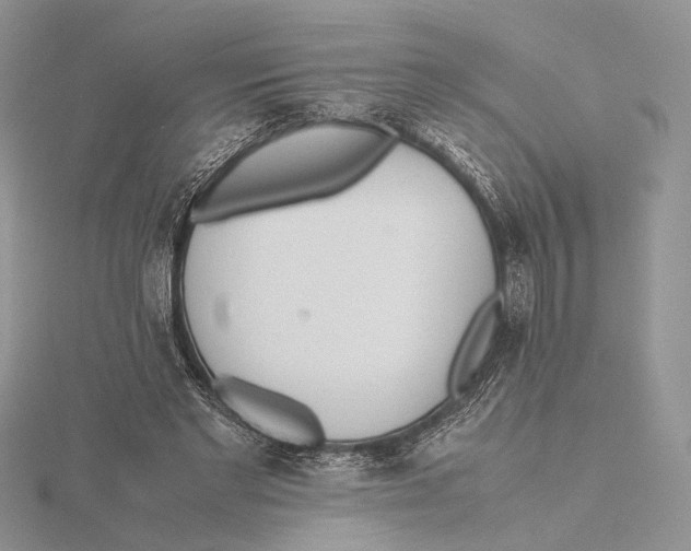 X0000115640493200912081107