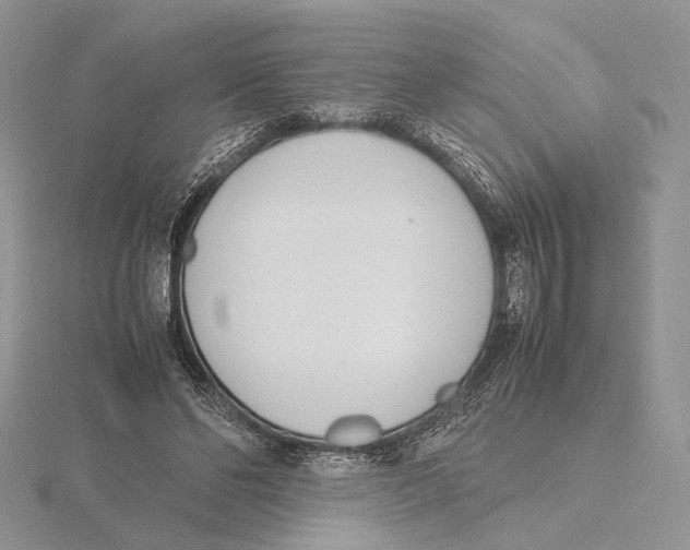 X0000115640494200912081107