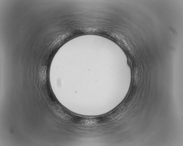 X0000115640495200912081107