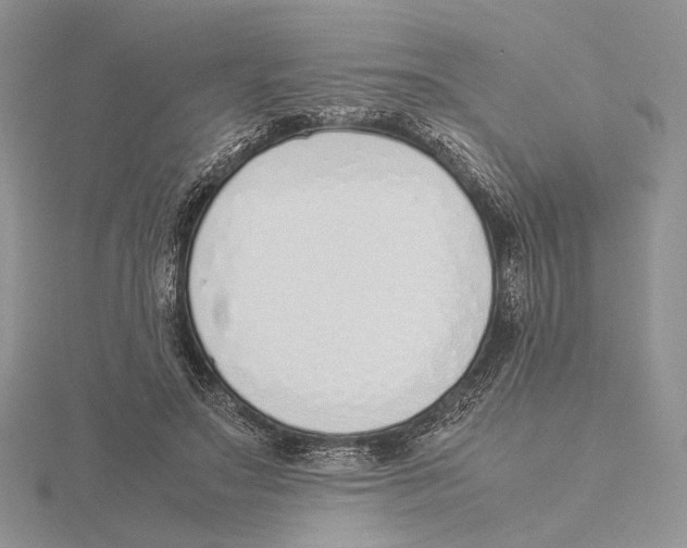 X0000115640499200912081107