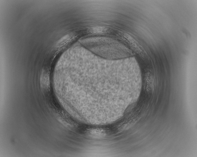 X0000115640500200912081107
