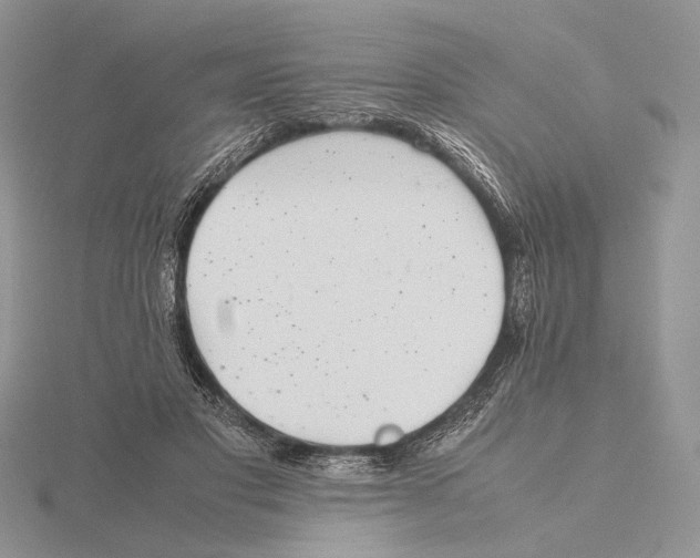 X0000115640501200912081107