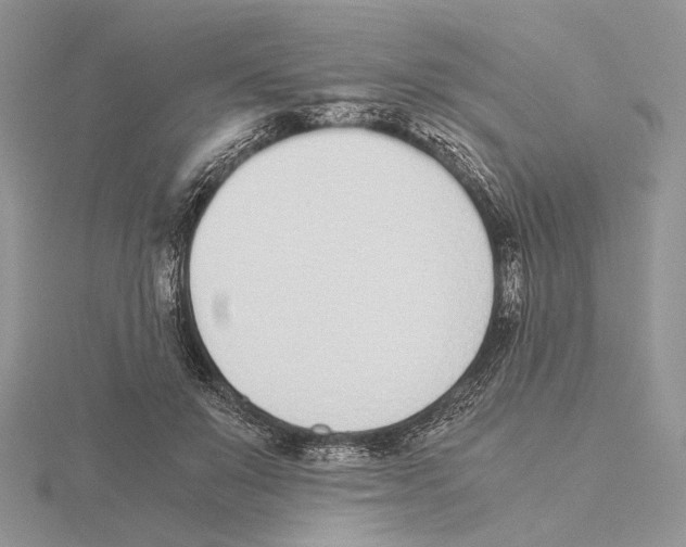 X0000115640503200912081107
