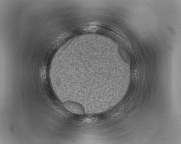 X0000115640504200912081107