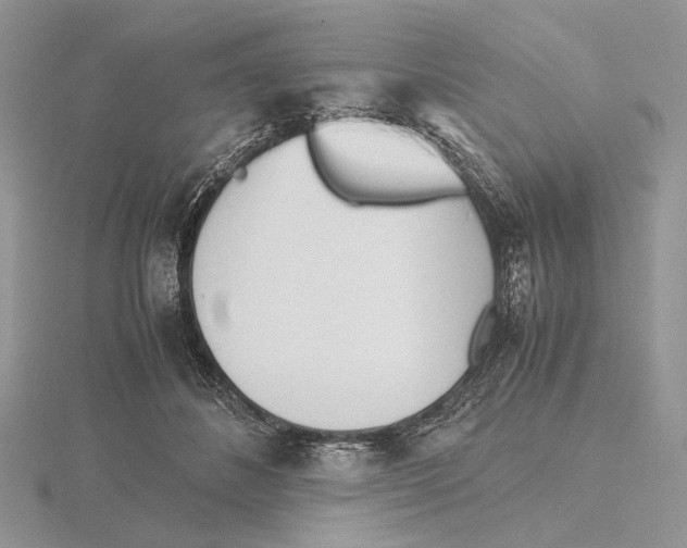 X0000115640508200912081107
