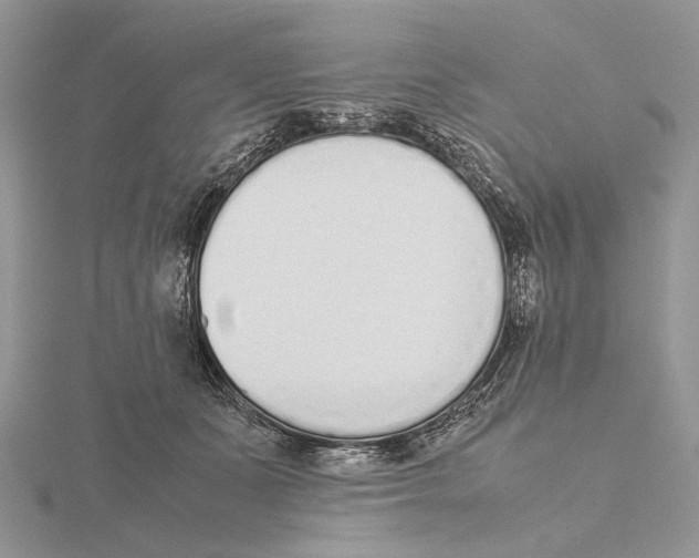 X0000115640511200912081107