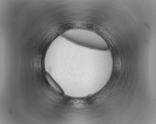 X0000115640512200912081107